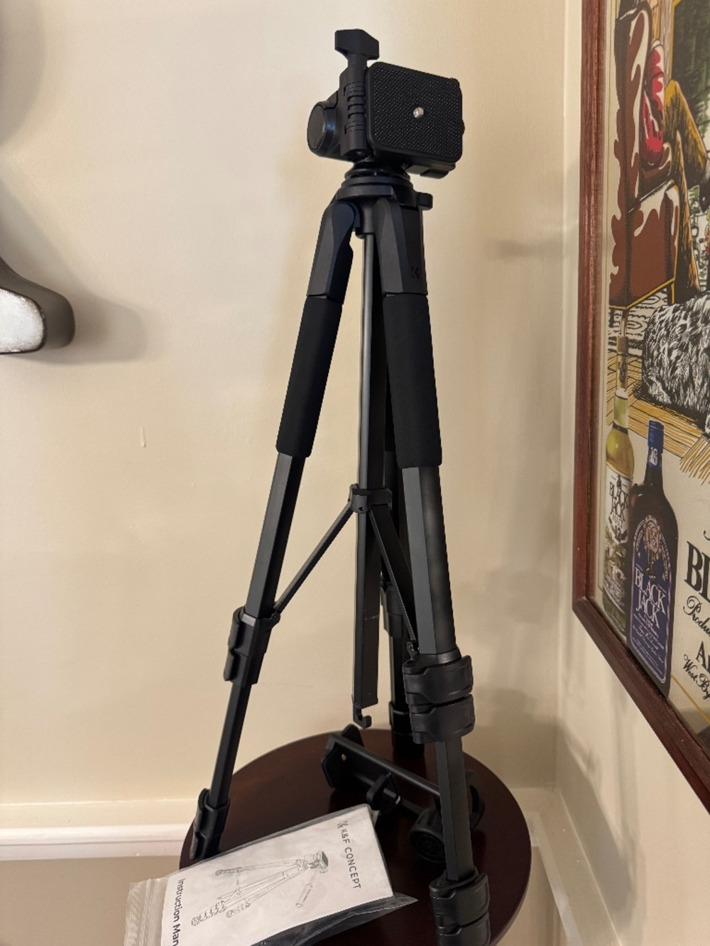Portable Black Camera Tripod with Quick-Release Head